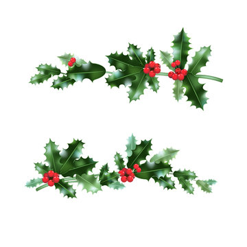 Holly nature branches set