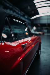 Fototapete bei efototapeten.de bestellen   