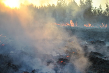 все что осталось 
