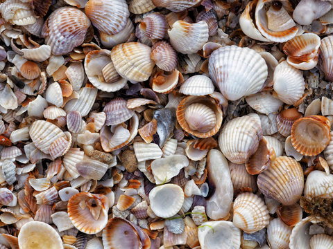 ASCHW photos, images, assets | Adobe Stock