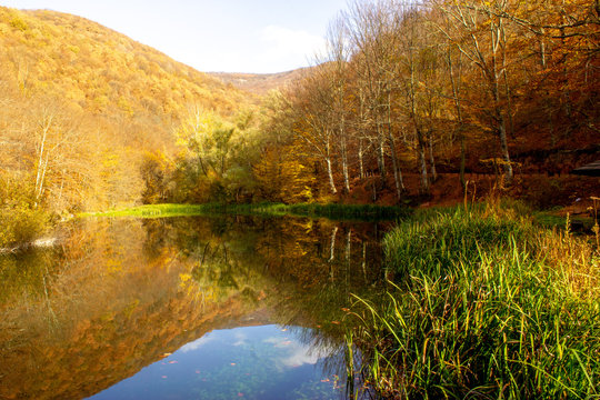 Lake Grza near the Paracin town. Pond with weird reflection in autumn, sunny day