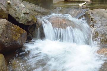 water run through river pass rock and stone in forest