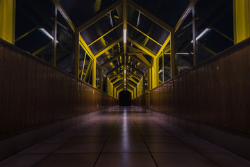 Black and Yellow