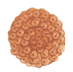 Light beige makeup smear of creamy foundation