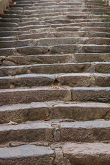 An old stone staircase going up.  In autumn, the fallen leaves lie on the steps. Selective focus