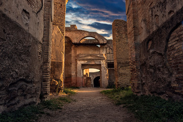 Ruins of Ancient Ostia  Archeological excavations