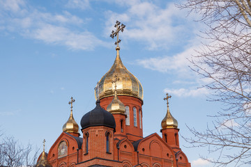 Fototapeta na wymiar Old red brick Christian church with golden and gilded domes against a blue sky and tree branches. Concept faith in god, orthodoxy, prayer