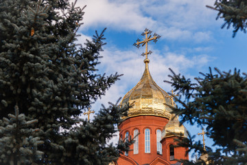Fototapeta na wymiar Old red brick Christian church with golden and gilded domes against a blue sky and tree branches. Concept faith in god, orthodoxy, prayer