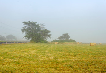 Fototapeta premium Foggy dawn in Warrnambool, Australia. Beautiful morning light.