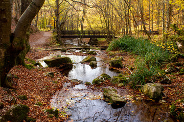 Bridge on Grza river, Paracin Serbia. Nature park Grza, river surrounded with forest. Autumn, sunny day with beautiful colors