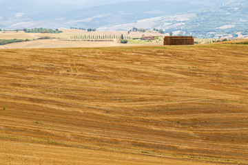 campo di grano in estate dopo la mietitura 