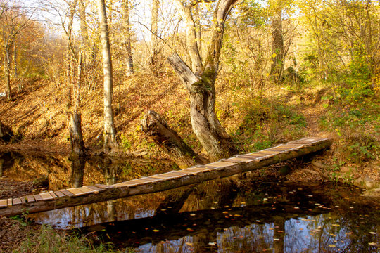 Bridge on Grza river, Paracin Serbia. Nature park Grza, river surrounded with forest. Autumn, sunny day with beautiful colors