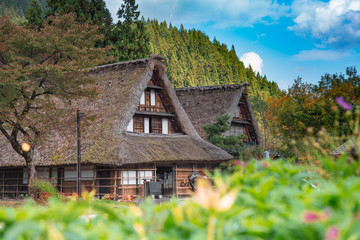 Fototapeta na wymiar Gassho-zukuri houses in Gokayama Village. Gokayama has been inscribed on the UNESCO World Heritage List due to its traditional Gassho-zukuri houses, alongside nearby Shirakawa-go in Gifu Prefecture.