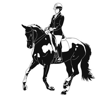 A logo of a dressage rider on a horse executing the pirouette.