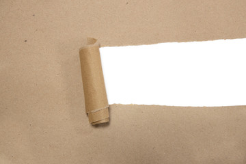 torn brown package rolled up  paper with blank white copyspace