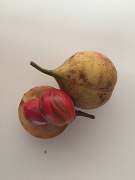 Fresh Nutmeg Fruits