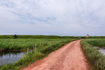 Road to Lighthouse