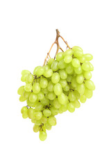 Ripe sweet grapes on white background