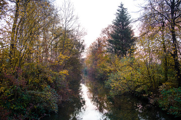View of brook in a forest with trees reflected on its surface