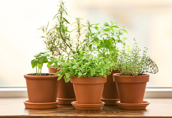 Pots with fresh aromatic herbs on wooden windowsill