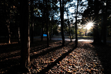 sapporo, matuyama park