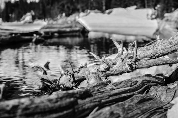Rocky Mountain National Park, Colorado Rocky Mountains