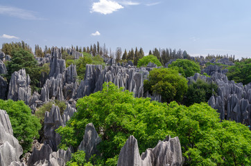 The limestone Stone forest on sunny day, Kunming Yunnan China.