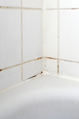 Mould in a white bathroom on the tiles and the silicon