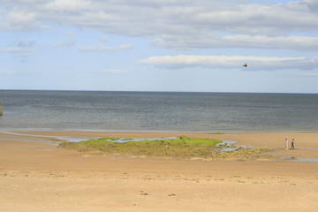 Brougthy ferry beach, Scotland