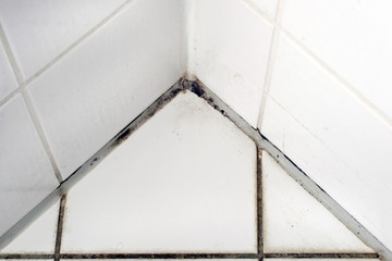 Mould in a white bathroom on the tiles and the silicon