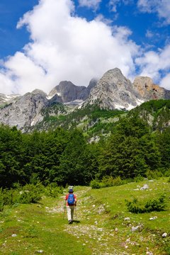 Female hiker in Kukaj Valley with Jezerca, Maja e Jezerces, Valbona National Park, Albanian Alps, Prokletije, Qar Kukes, Albania, Europe