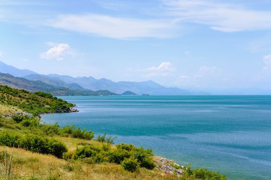 South shore of Lake Skadar, Lake Shkodra, Liqeni i Shkodres, near Shkodra, Shkoder, Qark Shkodra, Albania, Europe