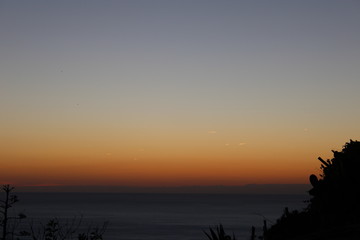 Cielo policromo con scie luminose mare e sagoma vegetale