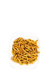Edible fried insects suitable as food snack