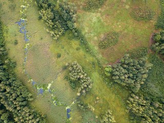 Beautiful green drone landscape with small wild river in forest