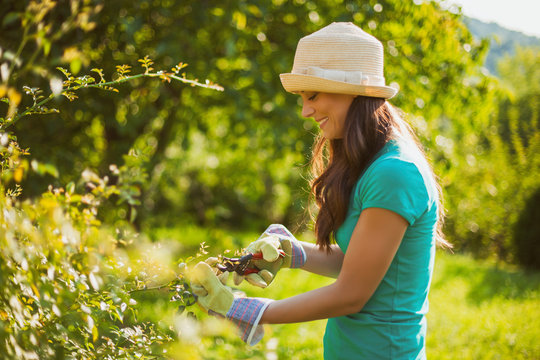 Young happy woman in her garden. She is pruning flowers. 