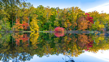 Panorama Fall Trees reflecting on Lake