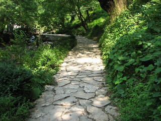 trail