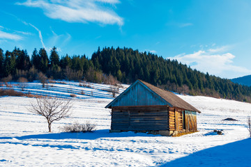 abandoned barn in Carpathian mountains. beautiful sunny winter weather. spruce forest in the...