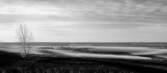 Fototapeta premium Black and white landscape with tree against sunrise