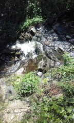 au bord de l'eau