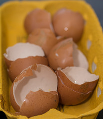 Eierschalen im Karton