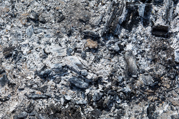 ash remaining after the burnt fire