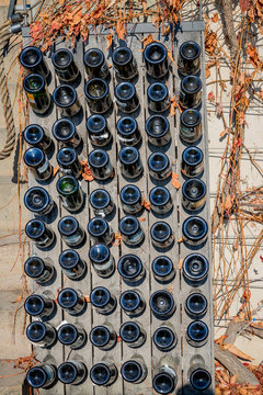 Dans le Vignoble de Saint-Venceslas &agrave; Prague