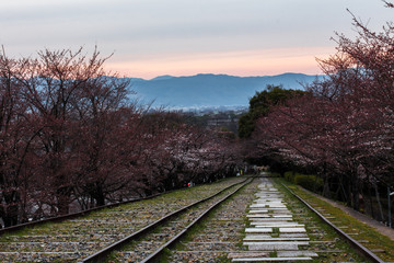 Fototapeta premium old abandonded railway kyoto