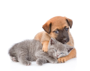 Sad mongrel puppy hugging kitten. isolated on white background