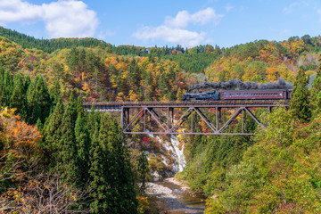 Steam locomotive train crossing the Takiya bridge on Tadami line with beautiful autumn season.