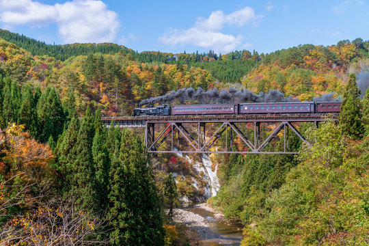 Steam locomotive train crossing the Takiya bridge on Tadami line with beautiful autumn season.