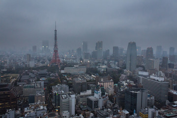 Obraz premium Tokyo Skyline