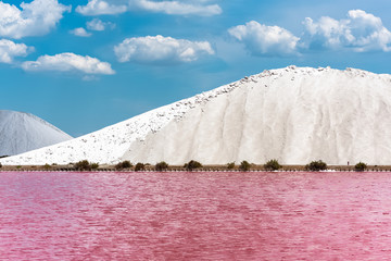 Fototapeta premium Aigues-Mortes, Salins du Midi, panorama with salt marshes 